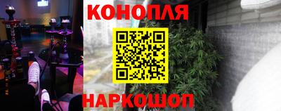 прущие грибы Краснодар