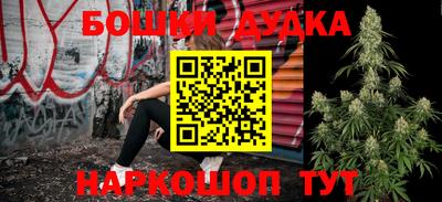 прущие грибы Краснодар