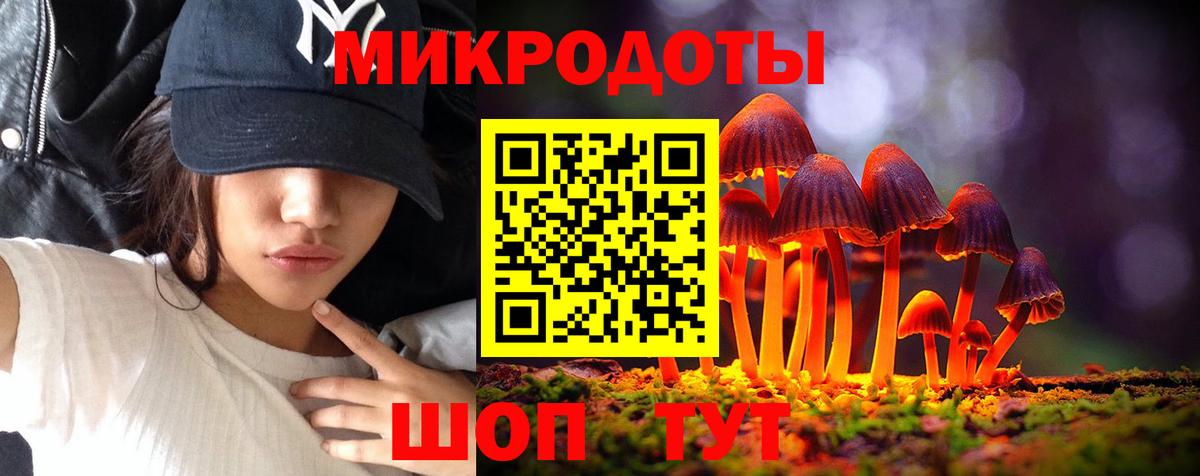 Псилоцибиновые грибы мицелий  Вход с VPN  Псилоцибиновые грибы мицелий  Камень-на-Оби 